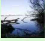 Lago cercado por vegetacao no Rio Grande do Sul
